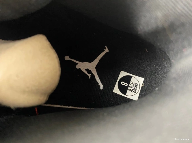 Kick Theory Alternate Air Jordan 130690-600 12 0807